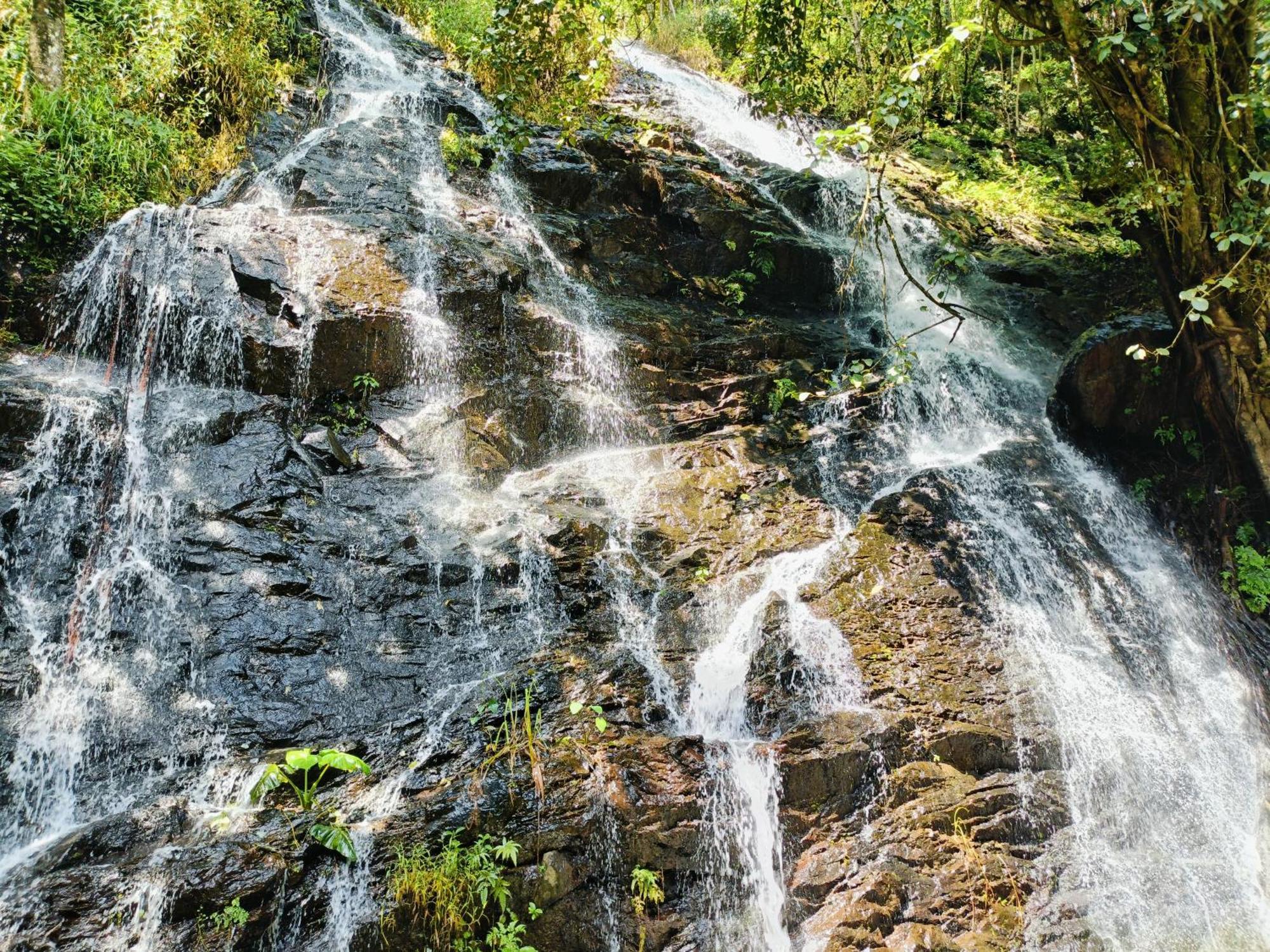 Eshwari Cottage Madikeri Ngoại thất bức ảnh